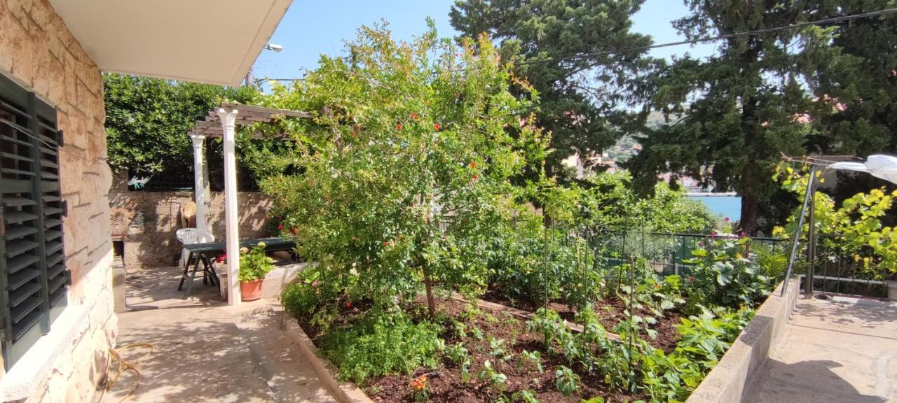 Apartment "Orangina" Sea - Nature - Relax - Ideal For Couples ドゥブロブニク エクステリア 写真